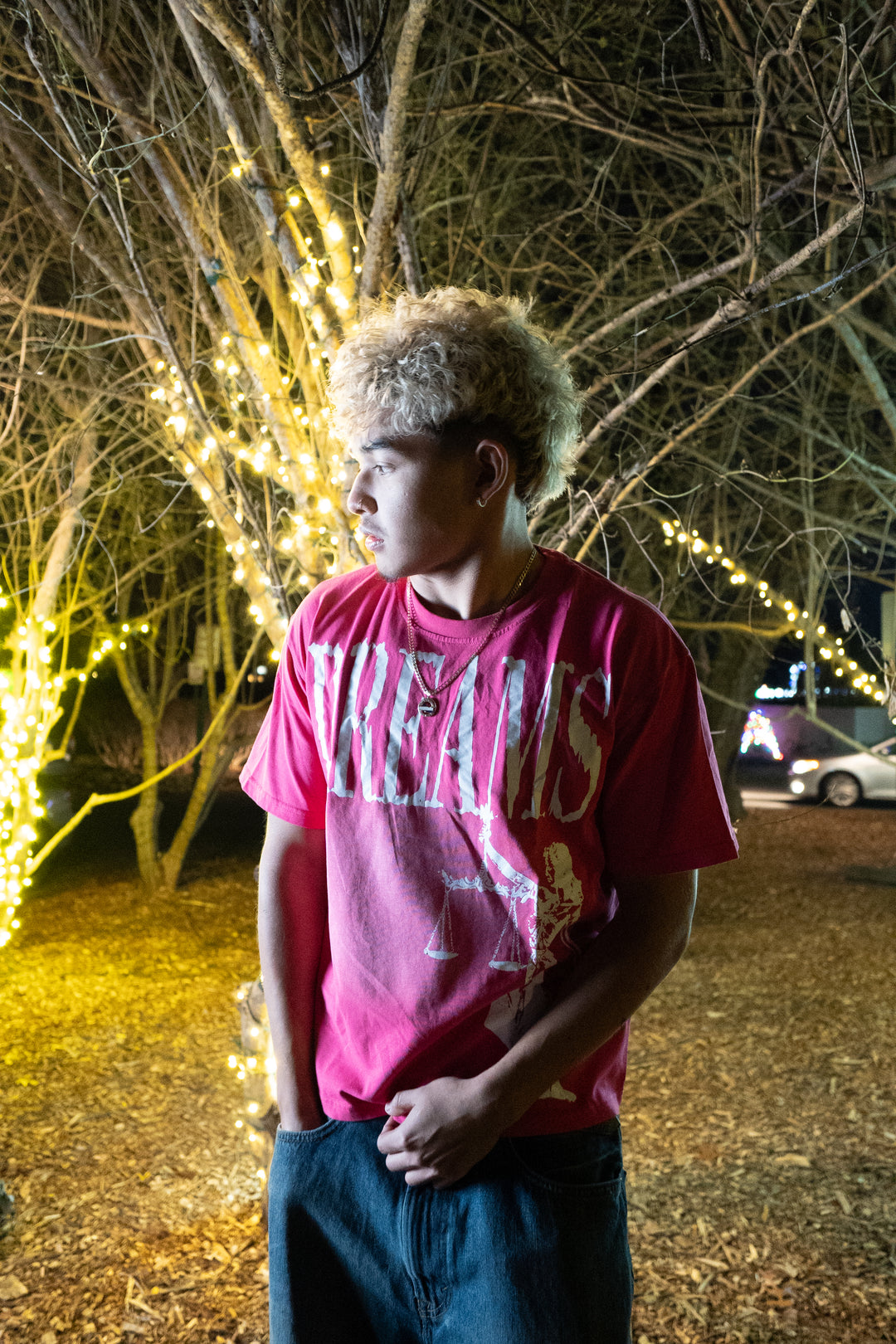 PINK DREAMS [HEAVYWEIGHT T-SHIRT]