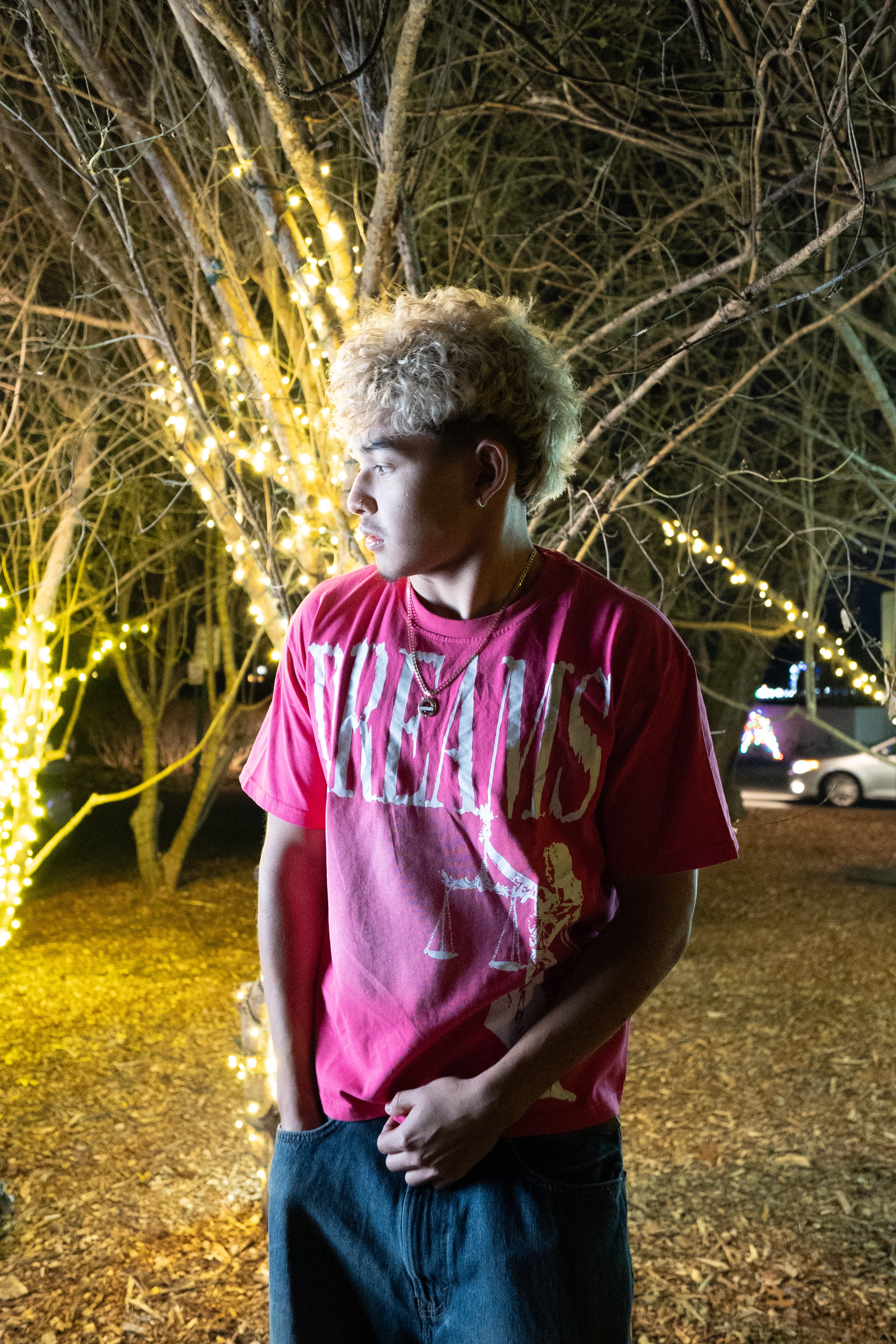 PINK DREAMS [HEAVYWEIGHT T-SHIRT]